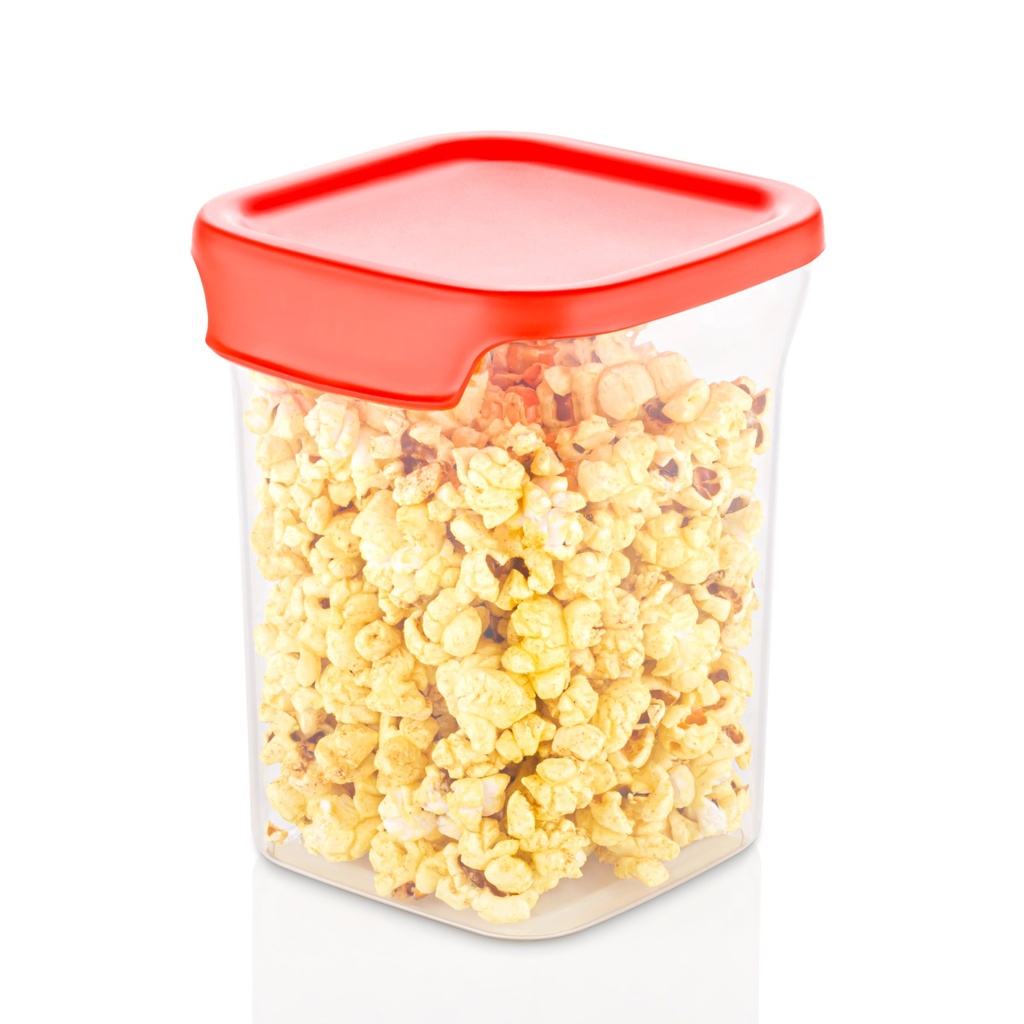 Dolphin Square Container 1100 ml - pack of 2