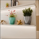 ARO Flower Pot (Pack Of 5)