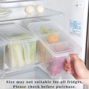 3 Comparment Multipurpose Storage Box For Fridge