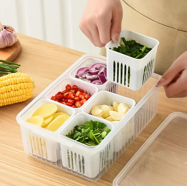 Fridge Container 6grid Cup