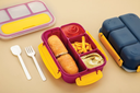 Fusion Lunch Box 