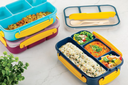 Fusion Lunch Box 