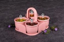 Marvella Dry Fruit Box