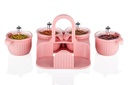 Marvella Dry Fruit Box