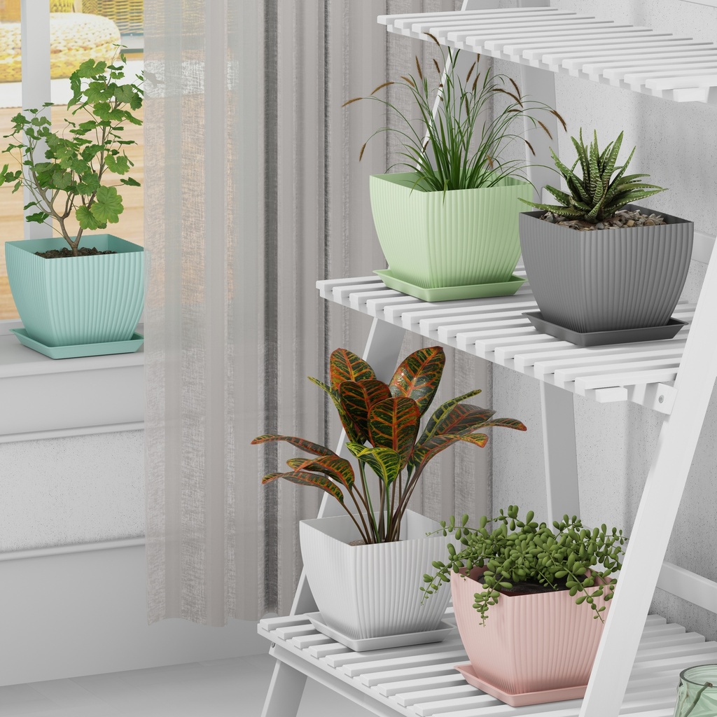SQ Flower Pot (Pack of 5)