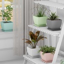 SQ Flower Pot (Pack of 5)