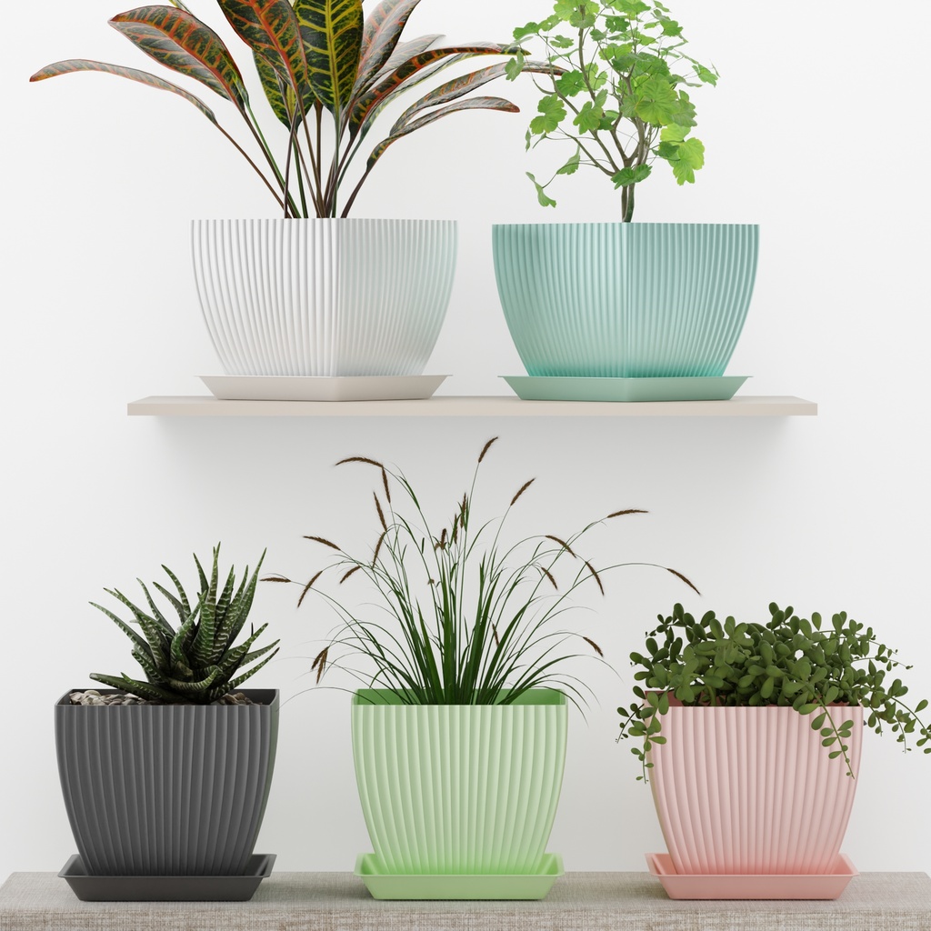 SQ Flower Pot (Pack of 5)