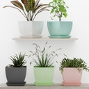 SQ Flower Pot (Pack of 5)