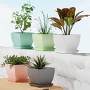 SQ Flower Pot (Pack of 5)