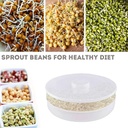 Sprout Maker 2 layer - Shrink Pack