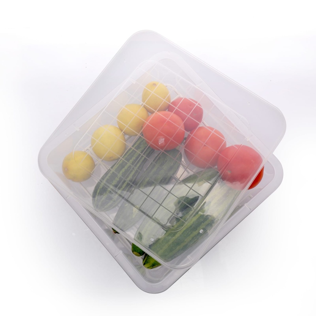 Square Fridge Container (Pack of 6)