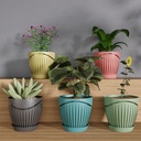 WL Flower Pot (Pack of 5)