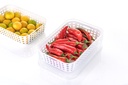 Bloombite Plastic Fridge Container