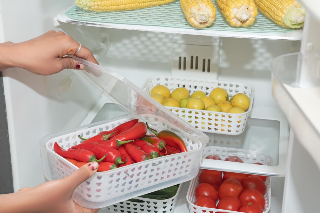Bloombite Plastic Fridge Container