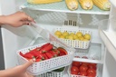 Bloombite Plastic Fridge Container