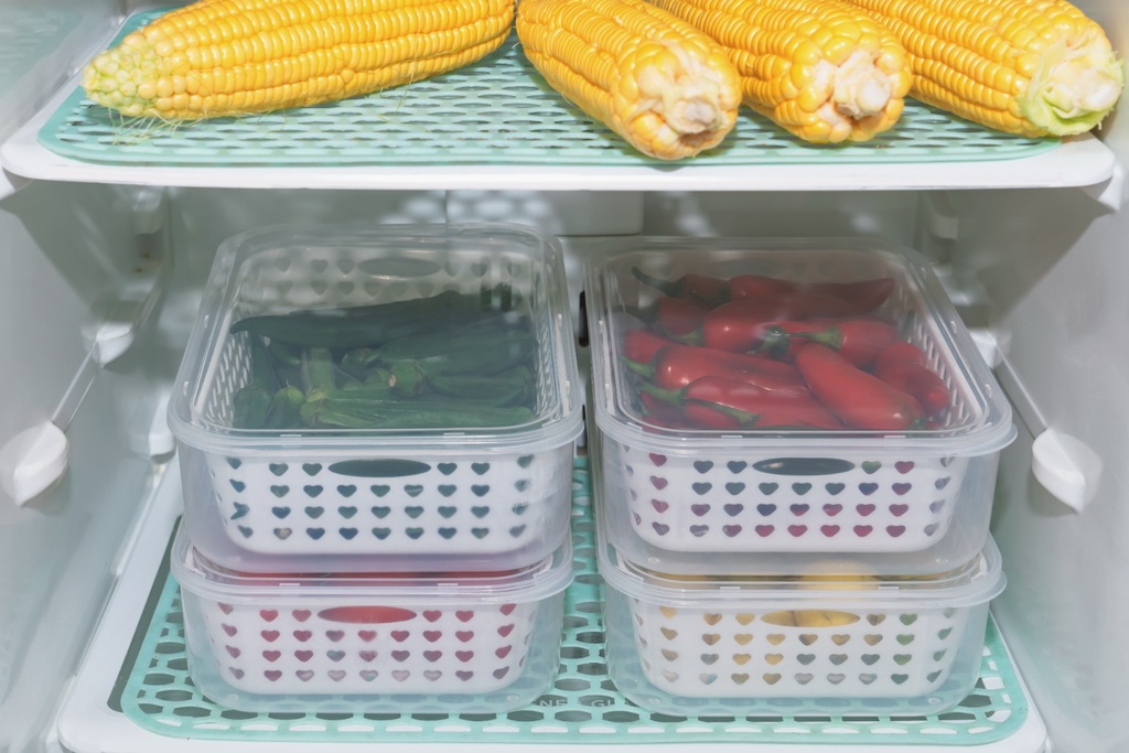 Bloombite Plastic Fridge Container