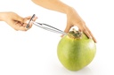 Arrow Coconut Opener - Blister Pack