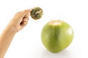 Arrow Coconut Opener - Blister Pack