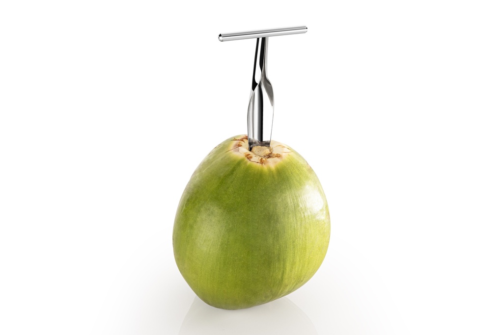 Arrow Coconut Opener - Blister Pack