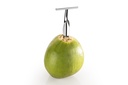 Arrow Coconut Opener - Blister Pack