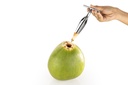 Arrow Coconut Opener - Blister Pack