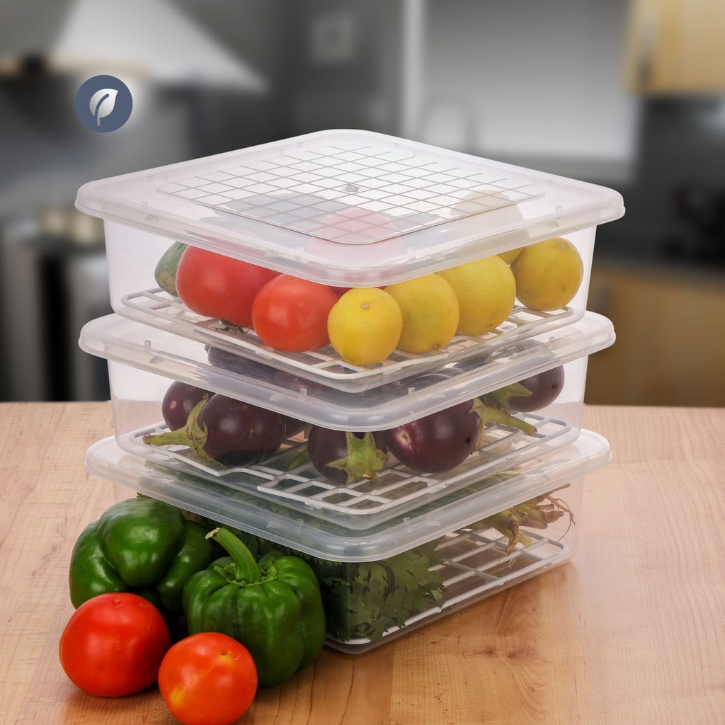 Square Fridge Container (Pack of 6)