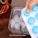 Pop it Round Ice Tray With Lid (Pack of 2)