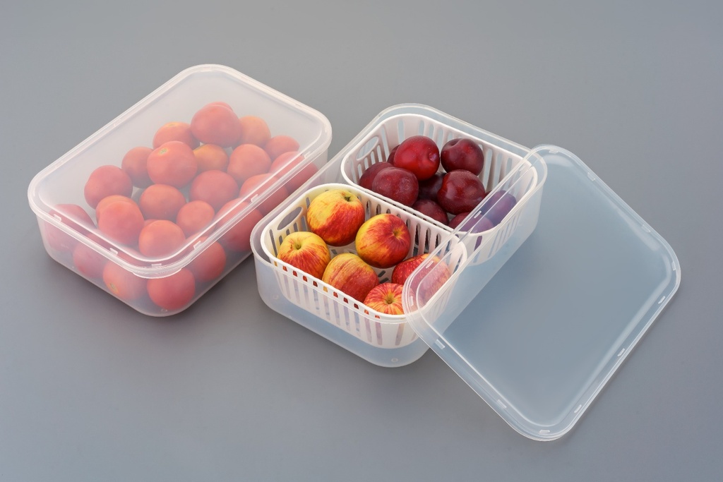 Bloombite 2 Grid Plastic Fridge Container 