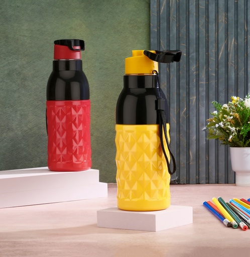 [KN-73] Diamond Insulated 500ml 