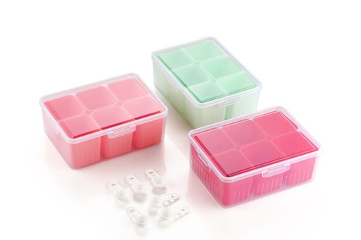 Orion 6 Grid Masala Box